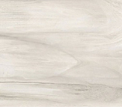 Керамогранит Alma Ceramica Ashton GFU92ATN04R 200*900