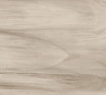 Керамогранит Alma Ceramica Ashton GFU92ATN40R 200*900