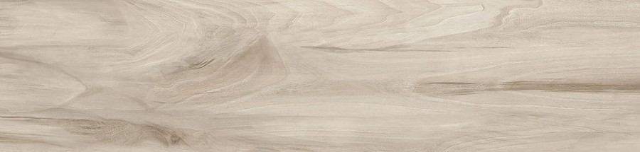 Керамогранит Alma Ceramica Ashton GFU92ATN40R 200*900