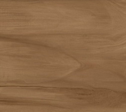 Керамогранит Alma Ceramica Ashton GFU92ATN44R 200*900