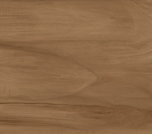 Керамогранит Alma Ceramica Ashton GFU92ATN44R 200*900