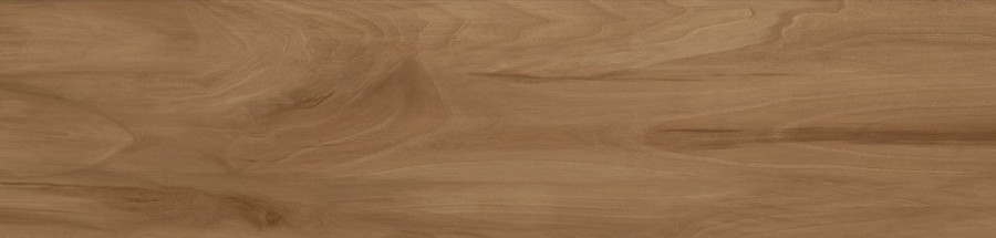 Керамогранит Alma Ceramica Ashton GFU92ATN44R 200*900