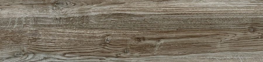 Керамогранит Alma Ceramica Chester GFA92CHR44R 200*900