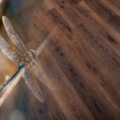 SPC ламинат Natura Дуб Брабант R-010-09