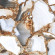 Керамогранит Maimoon Ceramica Luxury Stone 60*120