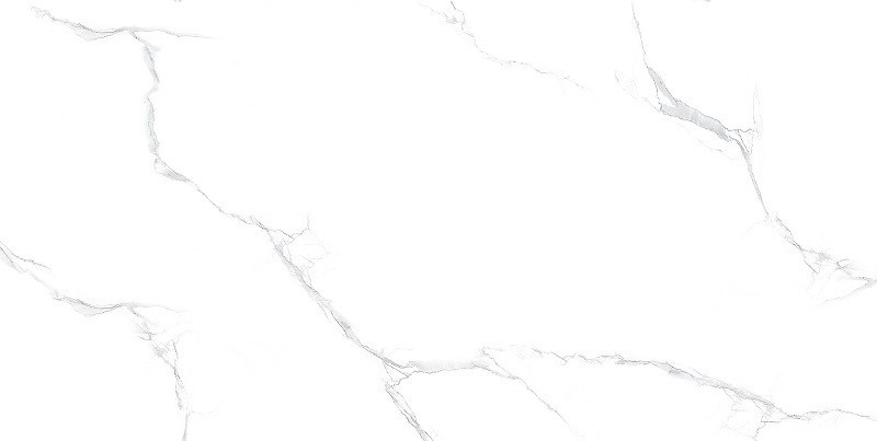 Керамогранит Maimoon Ceramica Silver Statuario 60*120