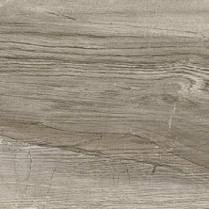 Керамогранит Alma Ceramica Wonderwood GFA92WDW40R 200*900