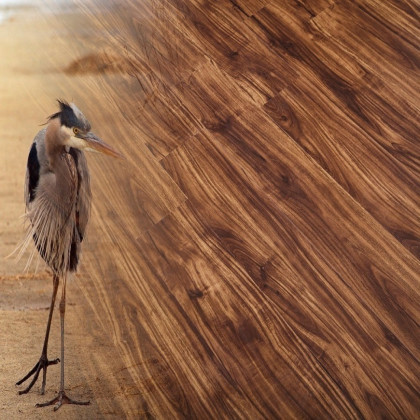 SPC ламинат Natura Орех Франэ C-001-12