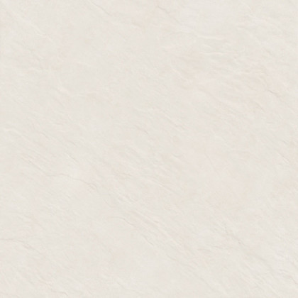 Керамогранит Alma Ceramica Evolution GFU04EVL08R 60*60