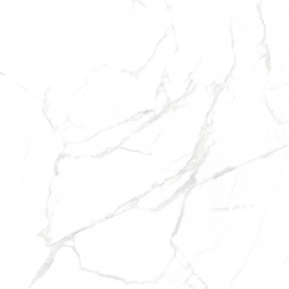 Керамогранит NT Ceramic NTT99607M Callacata Carving 60*120