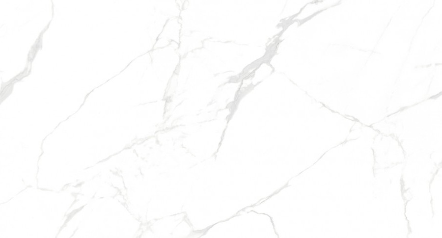 Керамогранит NT Ceramic NTT99607M Callacata Carving 60*120