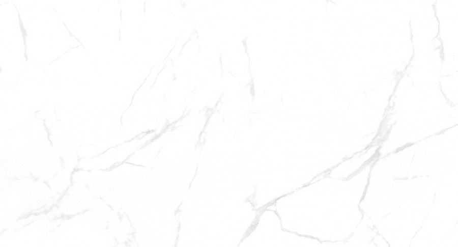 Керамогранит NT Ceramic NTT99607M Callacata Carving 60*120