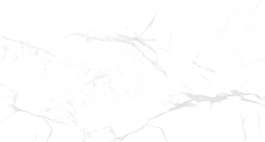 Керамогранит NT Ceramic NTT99607M Callacata Carving 60*120