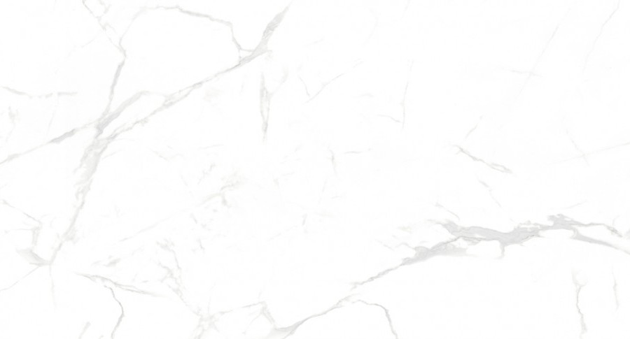 Керамогранит NT Ceramic NTT99607M Callacata Carving 60*120