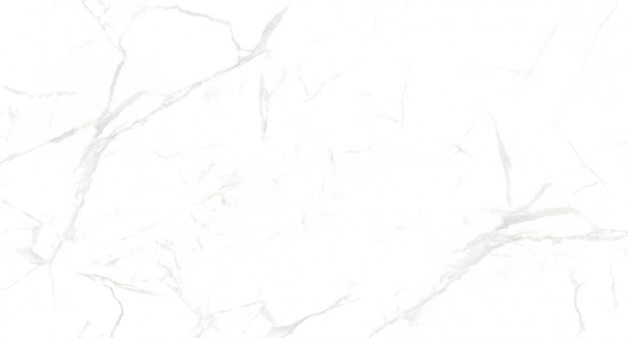 Керамогранит NT Ceramic NTT99607M Callacata Carving 60*120