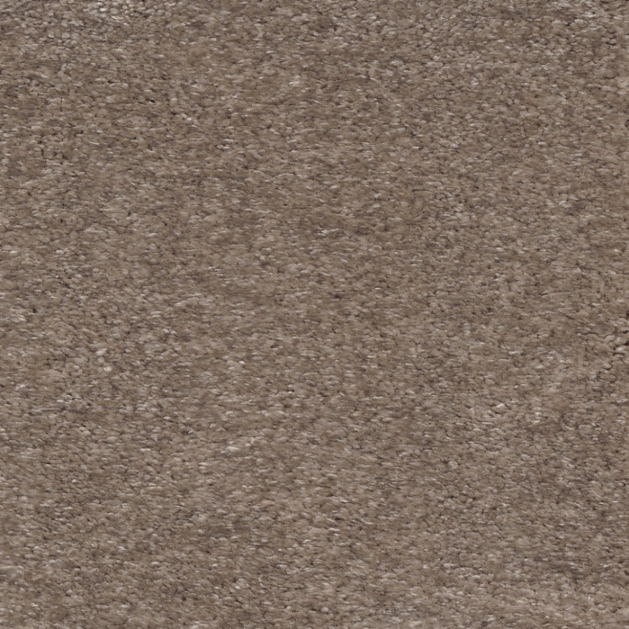 Ковролин Dioniso 40 Ковролин Dioniso 40