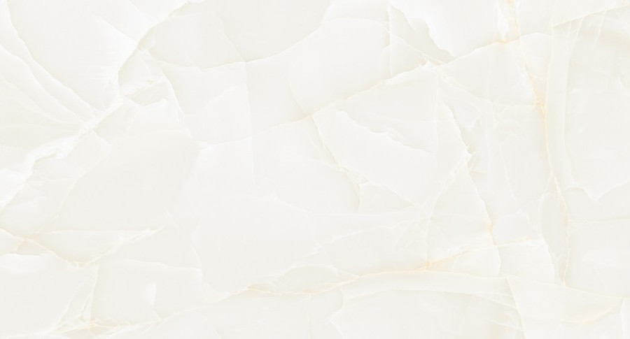 Керамогранит NT Ceramic NTT99504P Onyx Predo