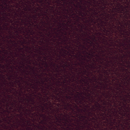 Ковролин Euphoria 11 Ковролин Euphoria 11