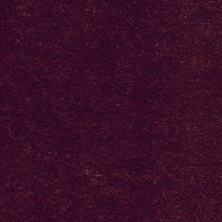 Ковролин Euphoria 11 Ковролин Euphoria 11