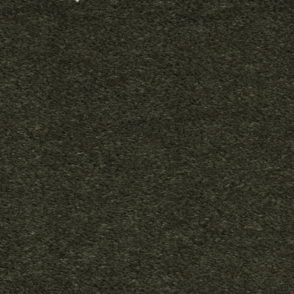 Ковролин Euphoria 24 Ковролин Euphoria 24