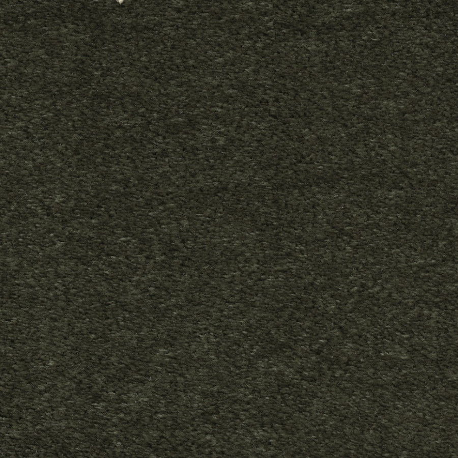 Ковролин Euphoria 24 Ковролин Euphoria 24