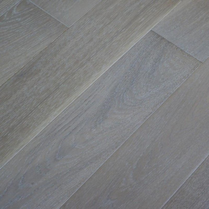 Стародуб Дуб Дунайский