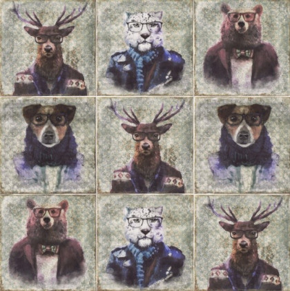 Керамическая плитка DECOR CELEBRITY 20Х20