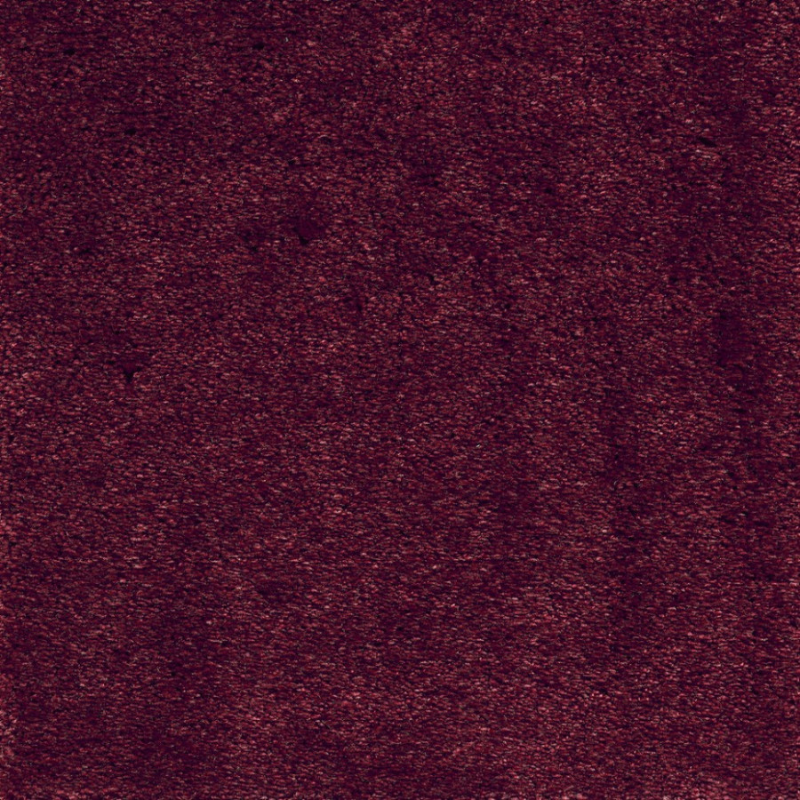 Ковролин Fedone 10 Ковролин Fedone 10