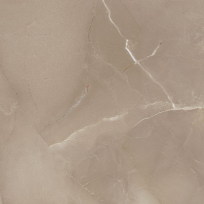 Керамогранит Passion Lux 60 Taupe 60*60
