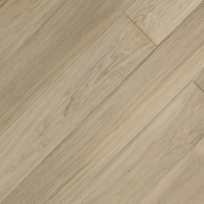 Стародуб Дуб Петергофский