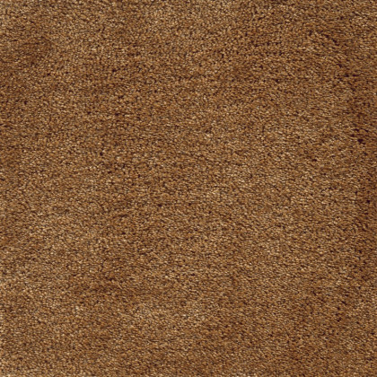 Ковролин Fedone 48 Ковролин Fedone 48